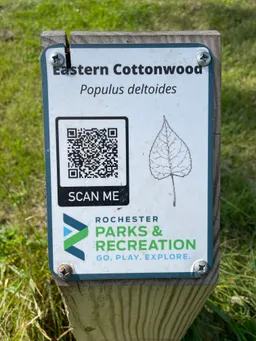 A tree marker identifying a tree on the Tree ID Trail